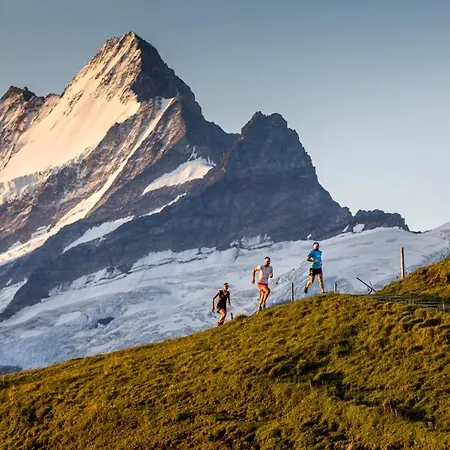 Appartement Gornerhaus