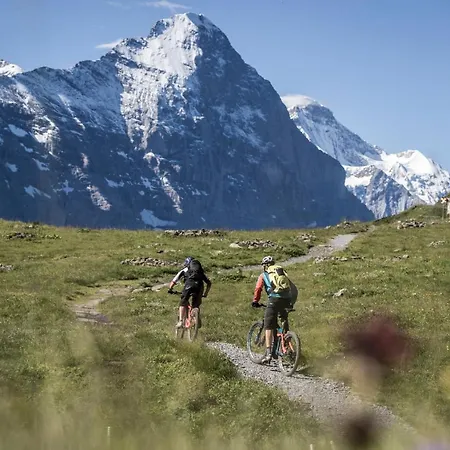 Appartement Gornerhaus