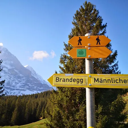 Gornerhaus Apartment