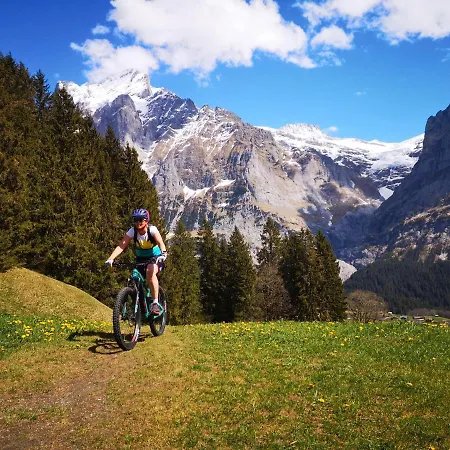 Gornerhaus Appartement Grindelwald
