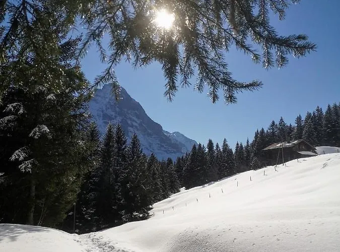 Gornerhaus Lejlighed *