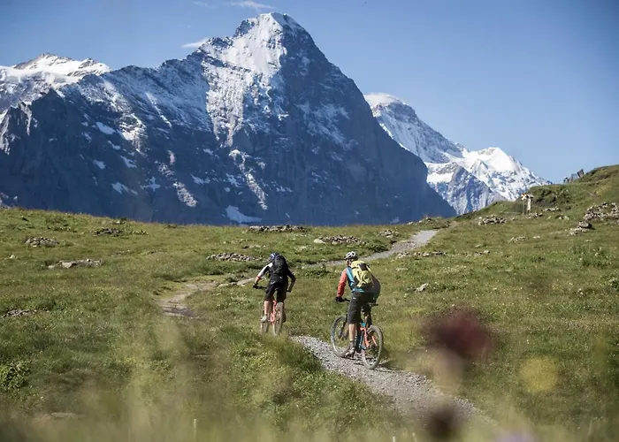 Lejlighed Gornerhaus