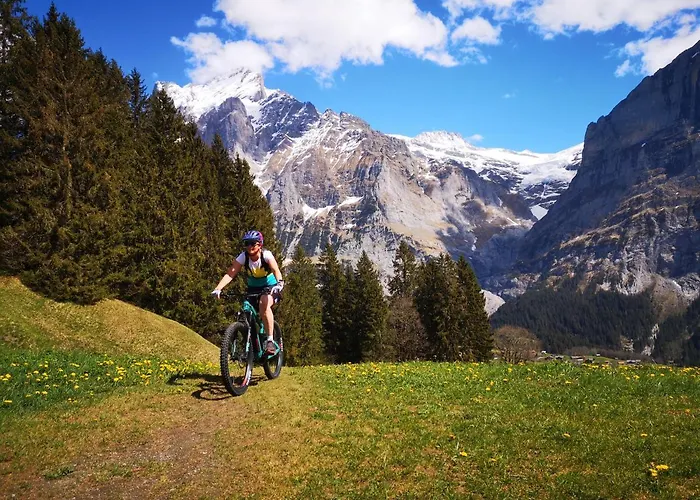 Gornerhaus Appartement Grindelwald