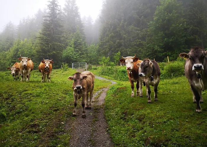 Gornerhaus 格林德瓦