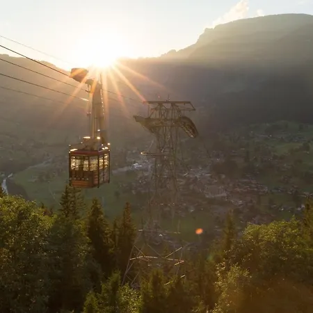 Apartament Gornerhaus *