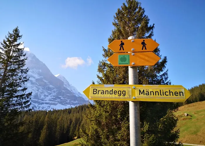 Gornerhaus Apartament